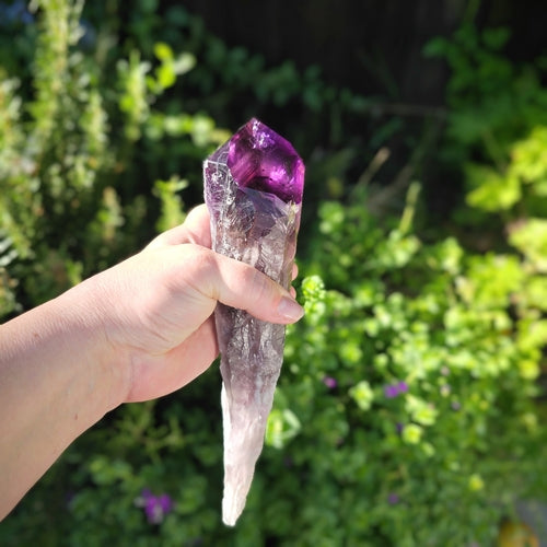 Elestial Amethyst Root Point